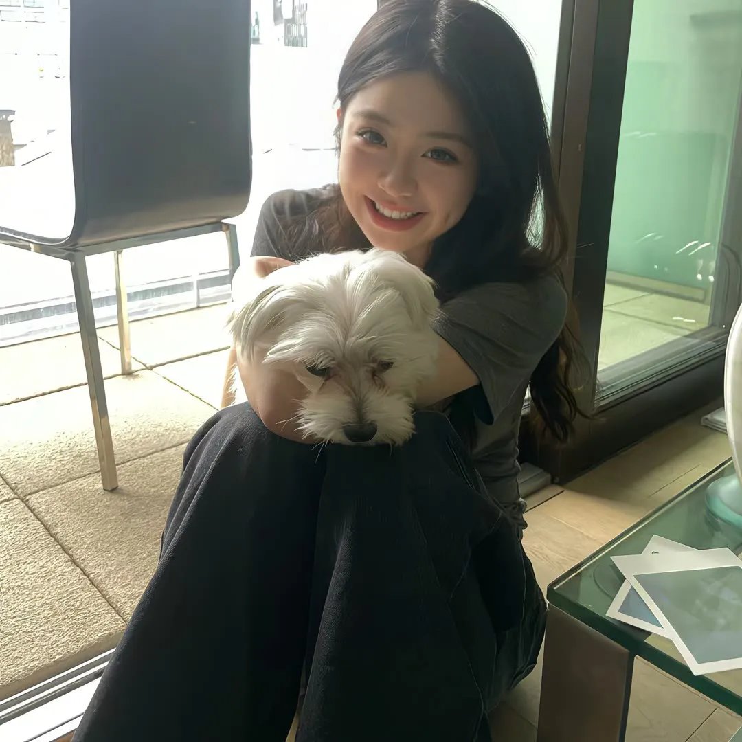 双子座计划
